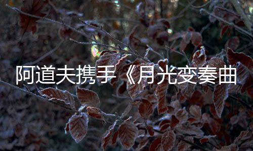 从网友们的阿道评价来看