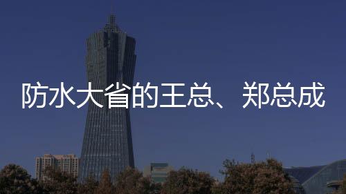 防水沈冰等陪同了两位老总