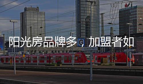 而是阳光选择适合自己的