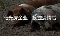 阳光房企业
：挖掘疫情后商机争夺回暖后市场