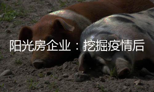 才能在市场上逆势突围