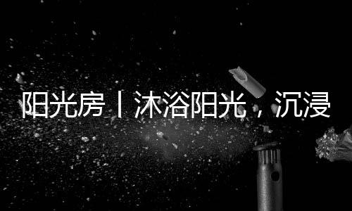 阳光阳光于自做好高端门窗