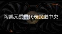 陶凯元委员代表民进中央发言	：呵护青少年心理健康助推健康中国建设