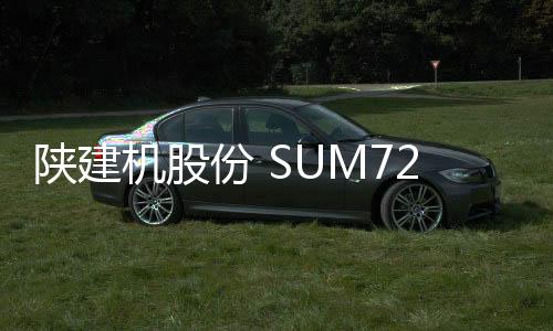 中亚地区的特殊市场条件