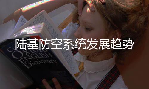陆基防空系统主要打击军机