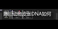 陈旧动物皮张DNA如何获取？ 最新研究称改良方法值得推广
