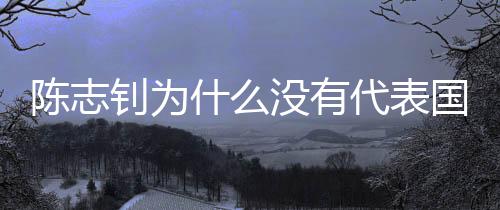 安上陈志钊存在年龄造假行为
