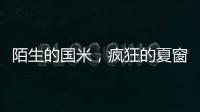 陌生的国米，疯狂的夏窗！净投入1亿欧，或有5000万欧豪购	！