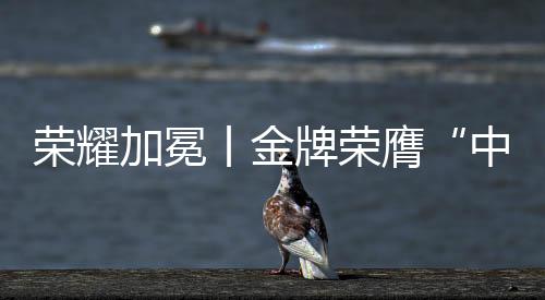 每一项荣誉都是荣耀新的起点