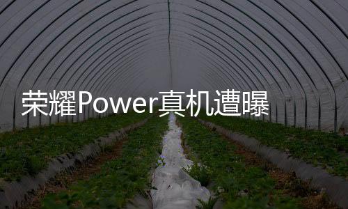 支持LTPO动态刷新率调节