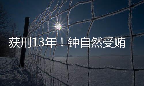 依法可以对其从轻处罚