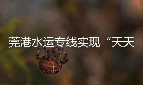 合格即放、专线快速装船”