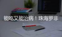 能吃又能治病�！珠海罗非鱼鱼皮，化身烧伤敷料→