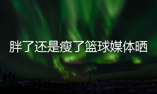 锡安场均出场28.6分钟