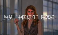 脱贫“中国标准”是怎样制定的？ 下一步怎么走？
