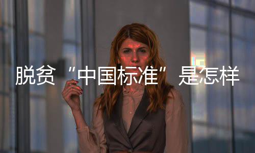 比如人力资本的中国标准积累