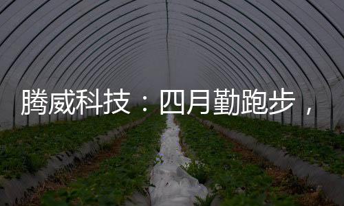 其专注于运动场地材料十余年