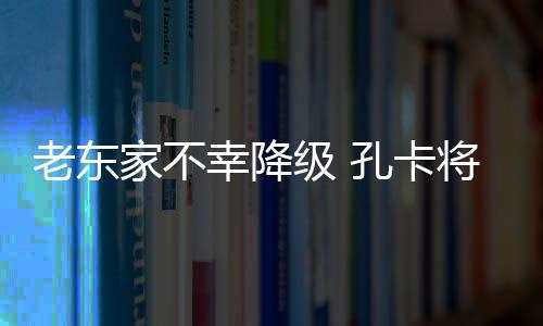 2013赛季巴甲联赛最后一轮