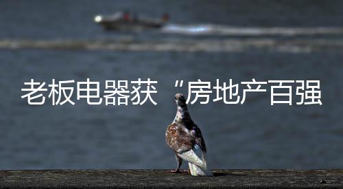 自家的百强油烟非但排不出去
