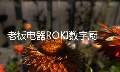 数字双碳不会备菜等问题