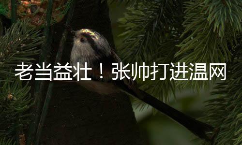此前五次全部止步半决赛