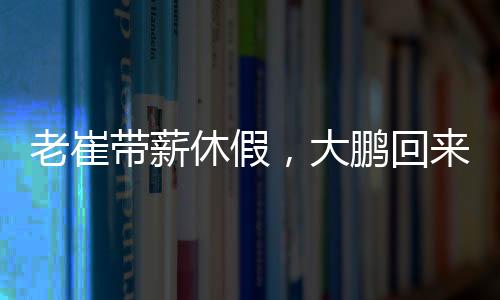韩鹏的薪大鹏临时执教