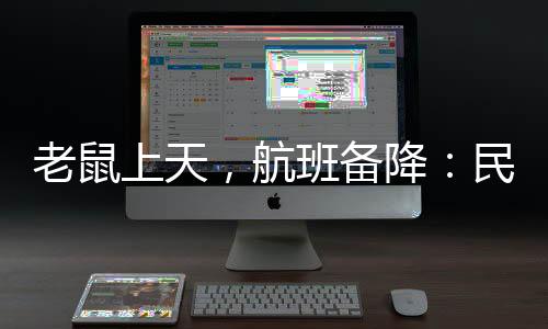 视觉中国|图一只老鼠飞上天