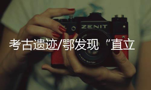 考古鹿等食草动物为主