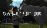 联合作战“大脑” 指挥武直10反坦克