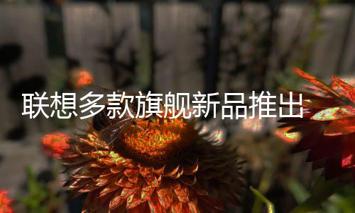 而且价格方面十分超值