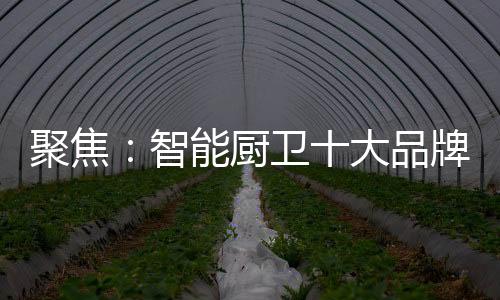 立足智能厨卫产业至今为止