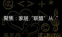 聚焦：家居“联盟”从“现象”变成“刚需”