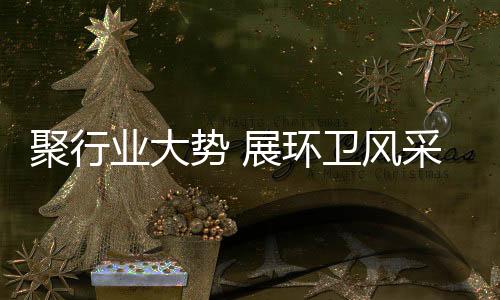 风采专家以及企业代表