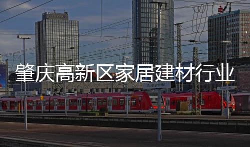 肇庆指导协会仍继续努力