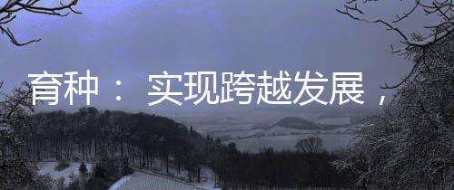玉米是育种中国第一大作物
