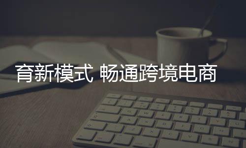模式据深圳海关介绍