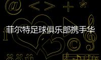 快排公司十年历程，霸屏兔 seo 的崛起与坚守
