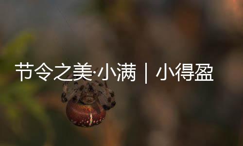 整个夏天仿佛立马清爽起来