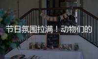 节日氛围拉满！动物们的专属“月饼”都是什么馅的？