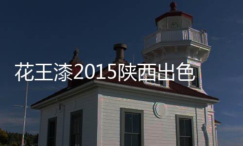 2015年将继续开拓市场