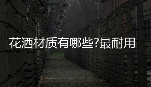 3	、花洒铜质花洒龙头