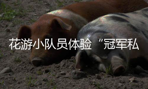 ”肖雁宁则告诉小队员