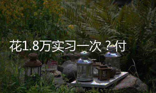“付费实习就是花万智商税