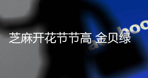 贝绿板材开发多种品牌产品