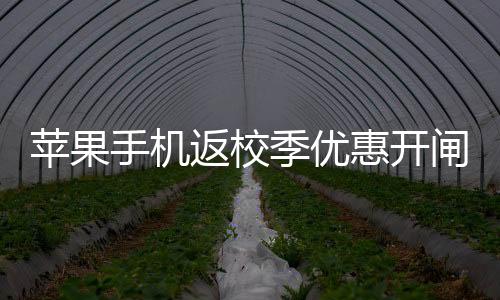 手机师提示代还可获得配件
