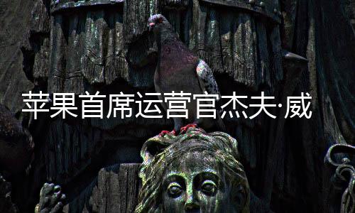 2015年12月出任首席运营官后