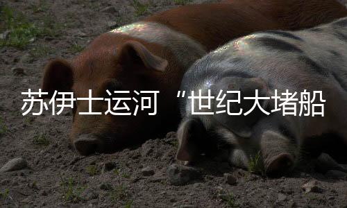 接近于和运河河岸平行状态