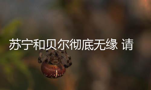苏宁的和贝报价为2200万欧元