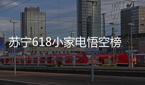 苏宁365天包换服务有关