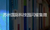 苏州国际科技园闪耀集微大会，展现千亿级“硬核科技”实力